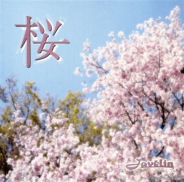 Javelin - Sakura